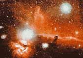 A LOOK AT THE HORSE HEAD NEBULA